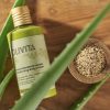 IMG_5960 Hydratační Tělový Krém s Extra Panenským Olivovým Olejem, Aloe Vera a Granátovým Jablkem OLIVITA