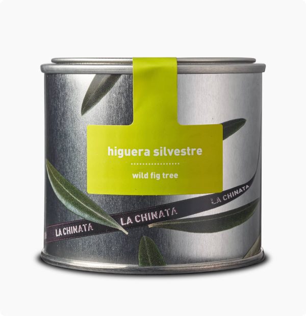 Aromatická Svíčka Divoký Fík